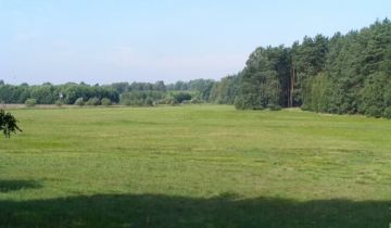 Działka rolna Sośnie