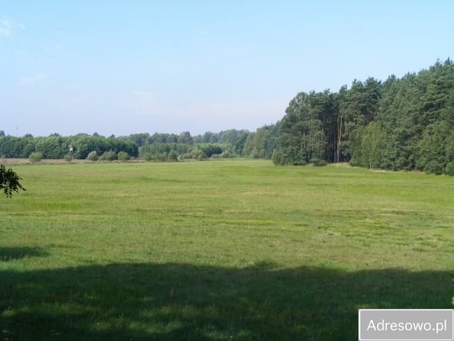 Działka rolna Sośnie. Zdjęcie 2