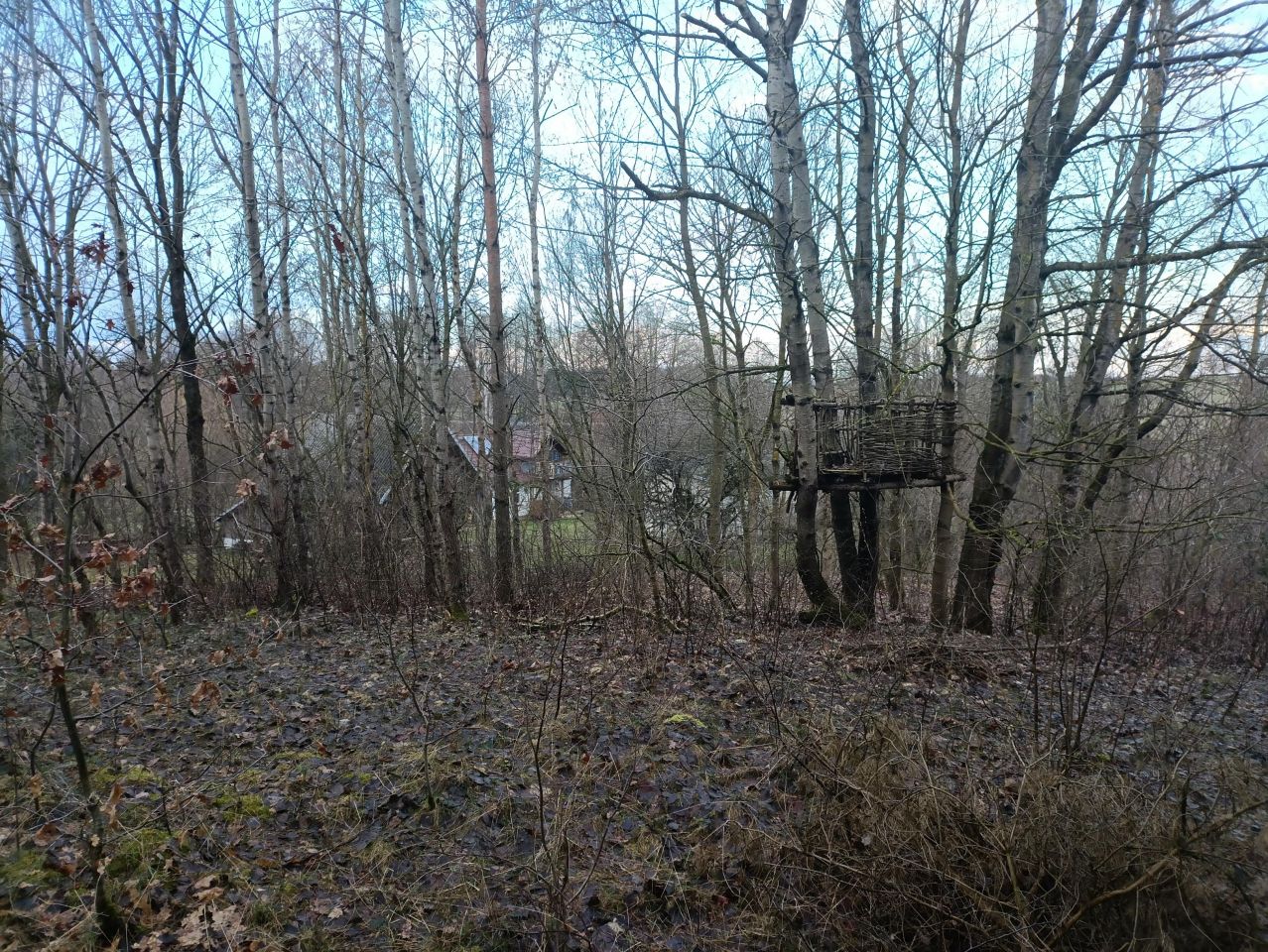 Działka rolna Wylazłowo. Zdjęcie 18