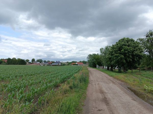 Działka rolna Podrzewie. Zdjęcie 1