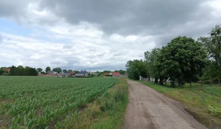 Działka rolna Podrzewie