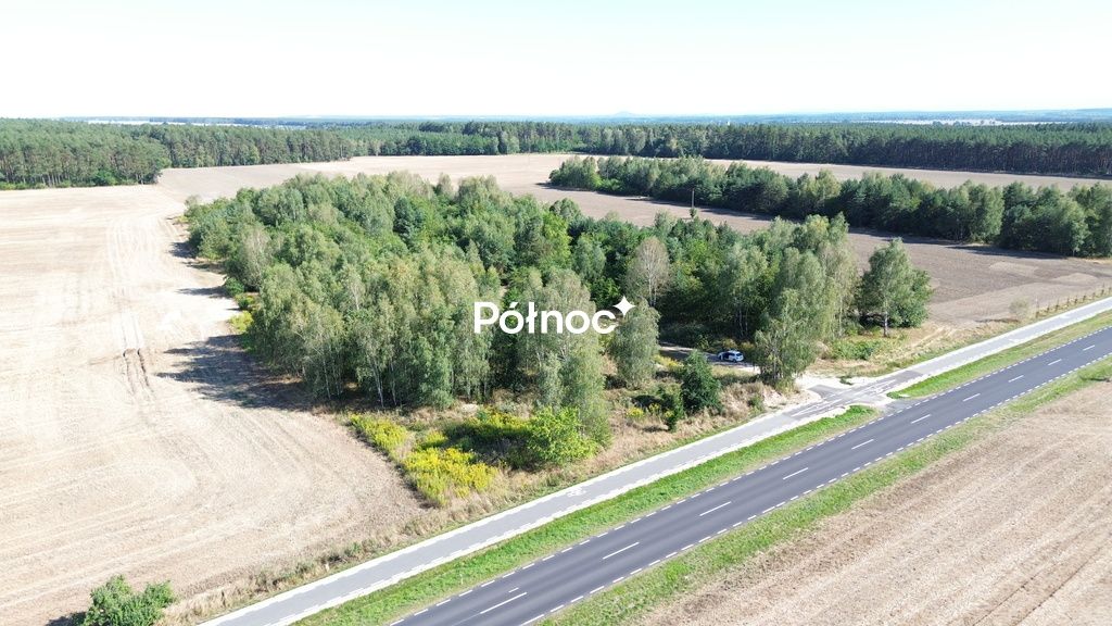 Działka inwestycyjna Dąbrowa Bolesławiecka. Zdjęcie 2