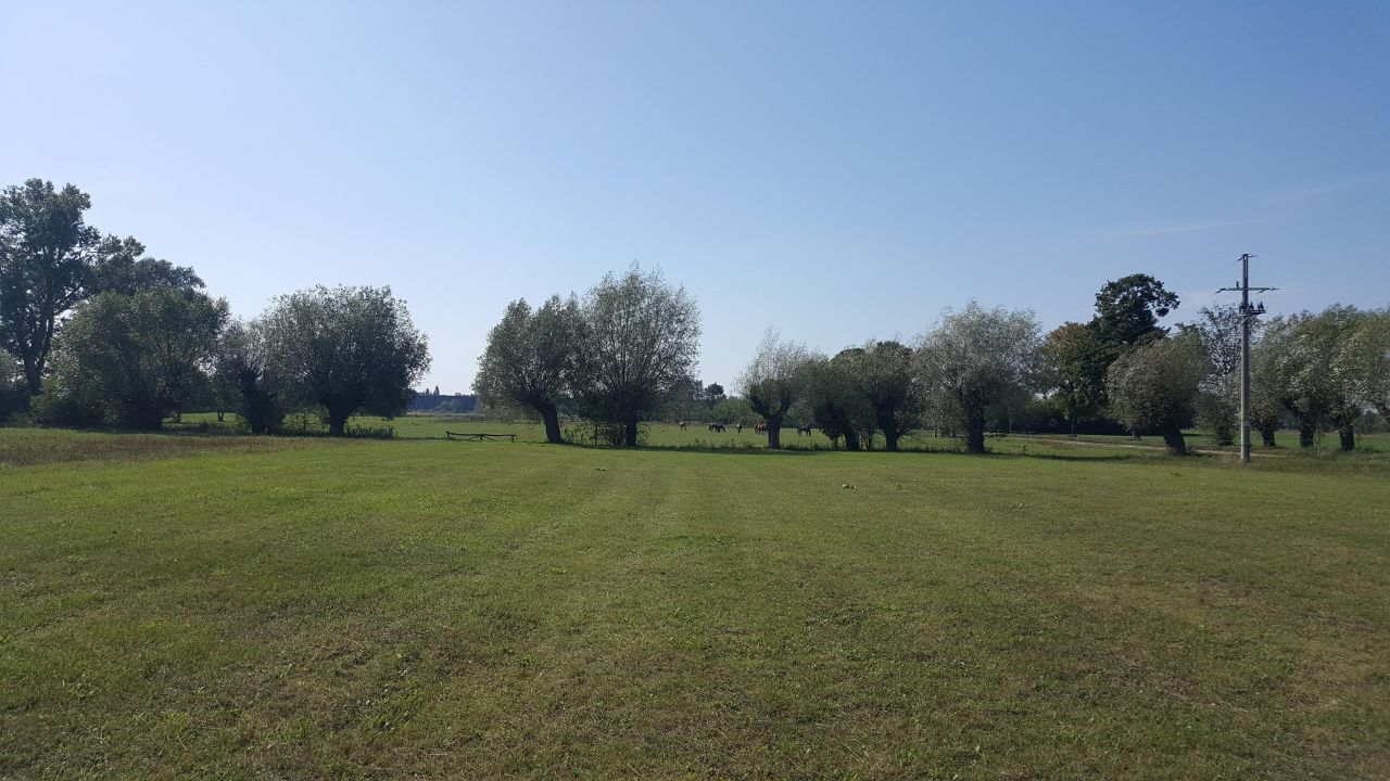 Działka budowlana Ciechocinek, ul. Wołuszewska. Zdjęcie 5