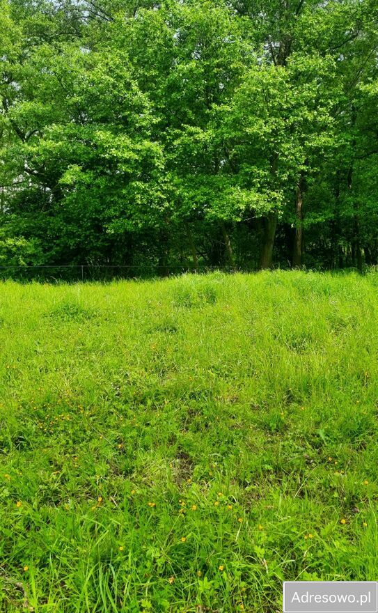 Działka rolno-budowlana Długopole Górne. Zdjęcie 3