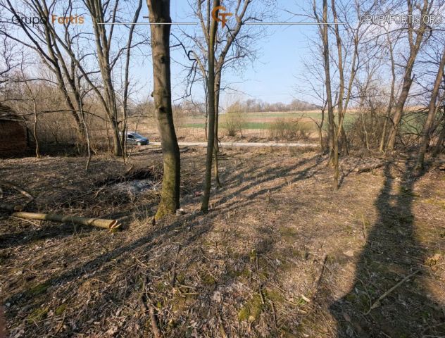 Działka siedliskowa Dębiany. Zdjęcie 3