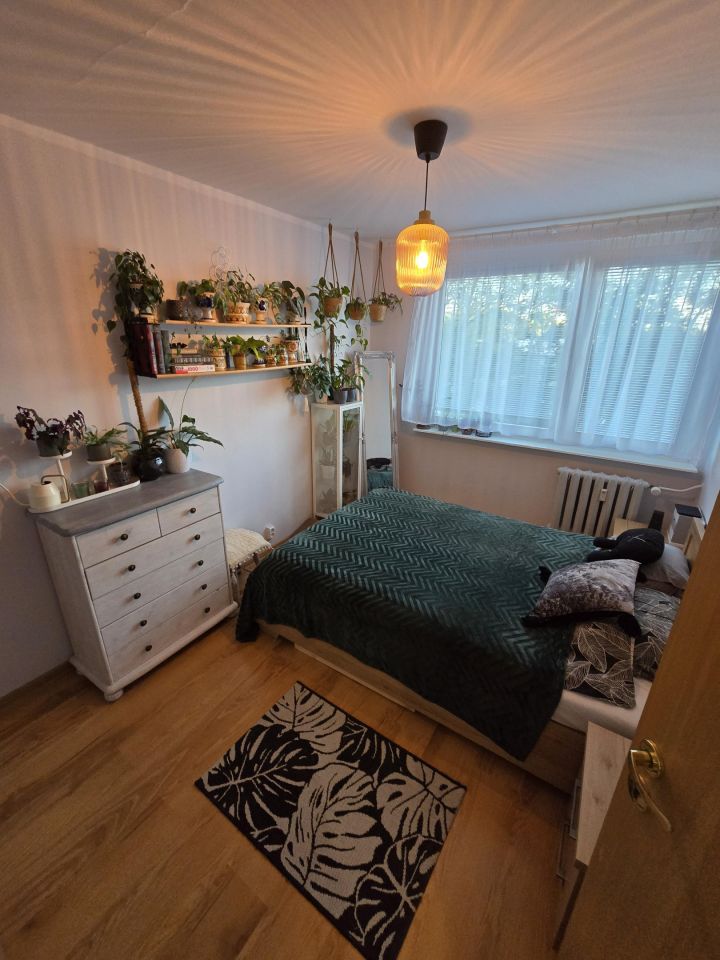 Mieszkanie 2-pokojowe Wrocław Różanka, ul. Zaułek Rogoziński. Zdjęcie 4