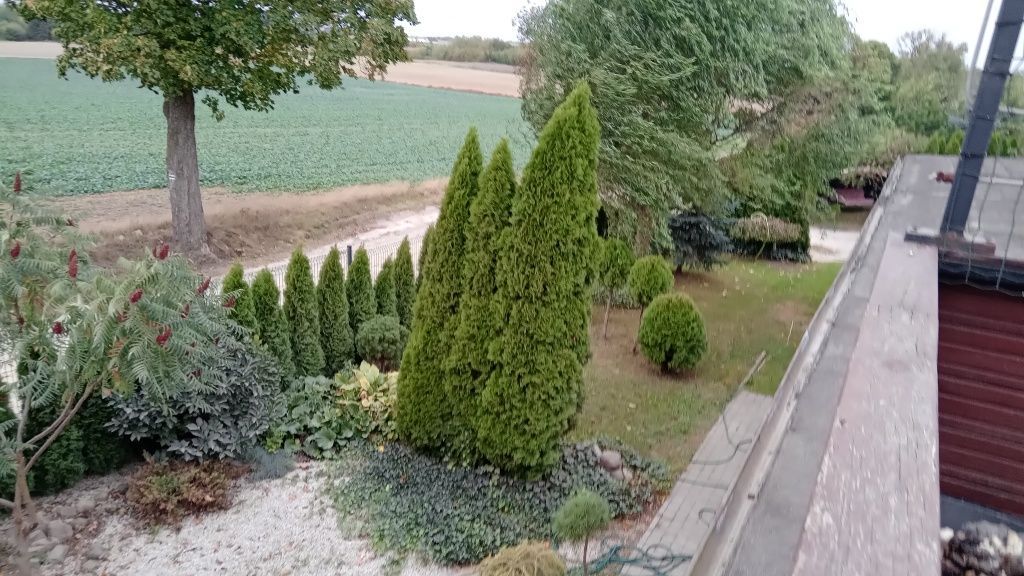 gospodarstwo Chmielewo. Zdjęcie 4