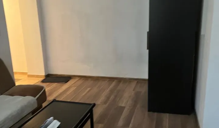 Mieszkanie 1-pokojowe Poznań Wilda, ul. Dolina