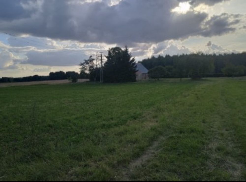 Działka siedliskowa Żalno. Zdjęcie 5