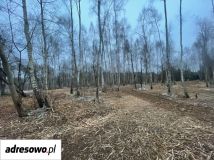 Działka budowlana Domysłów. Zdjęcie 3