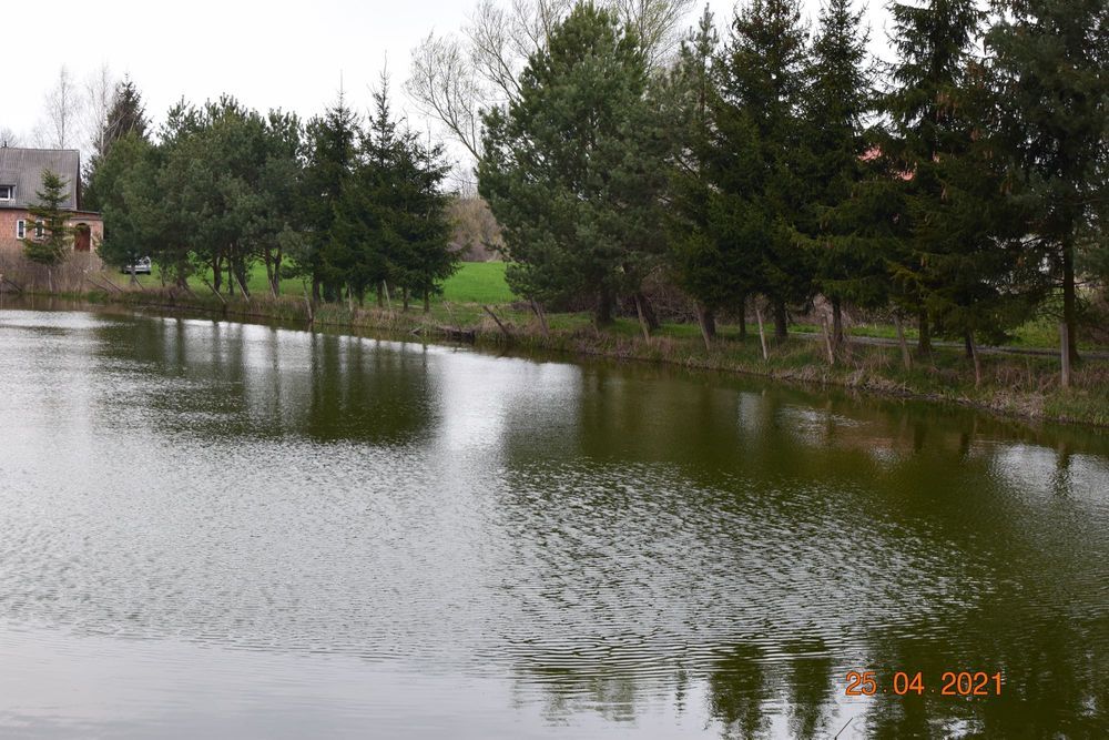 Działka rekreacyjna Surhów-Kolonia. Zdjęcie 6