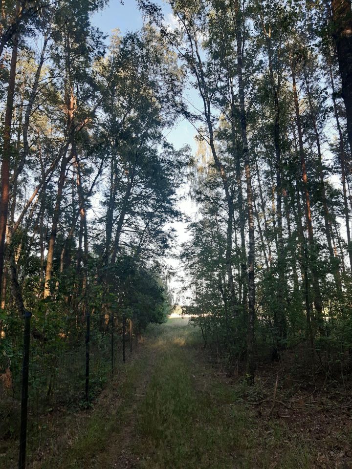 Działka budowlana Przyborowo, ul. Aladyna. Zdjęcie 2
