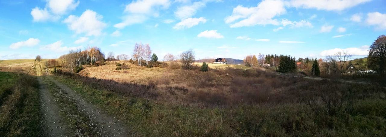 Działka rolno-budowlana Lipie. Zdjęcie 6