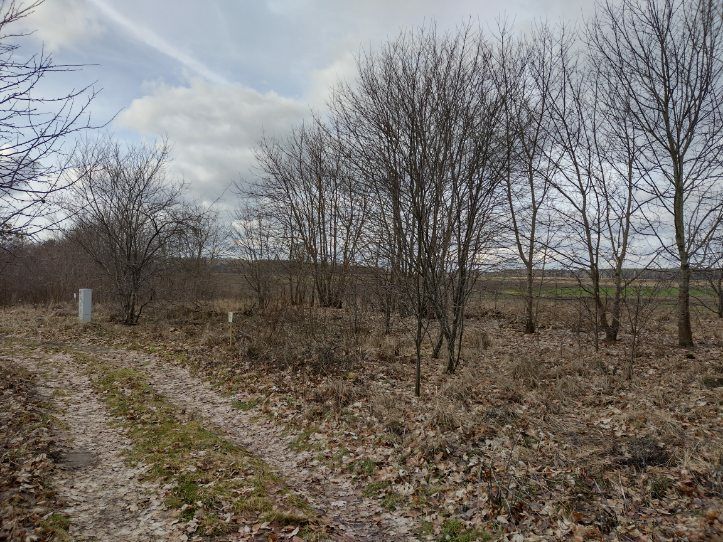 Działka budowlana Mielno. Zdjęcie 8