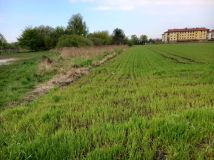 Działka budowlana Rogoźno, ul. Nowa. Zdjęcie 4