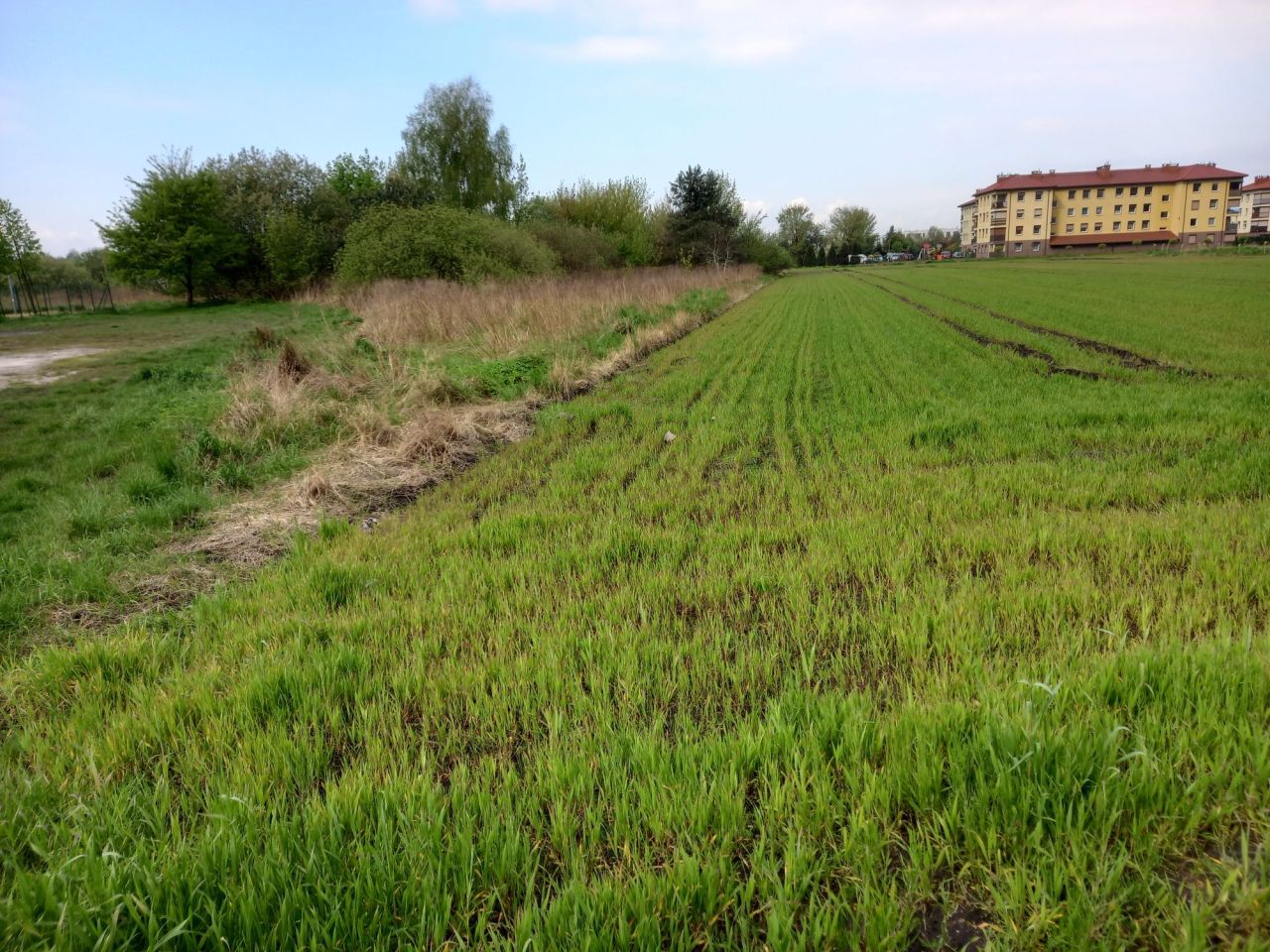 Działka budowlana Rogoźno, ul. Nowa. Zdjęcie 5