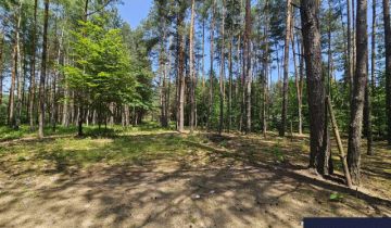 Działka budowlana Trzepieciny