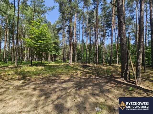 Działka budowlana Trzepieciny