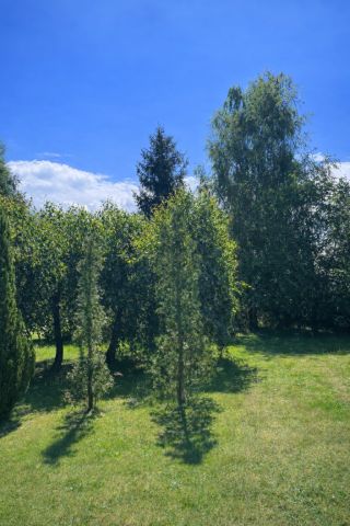 dom wolnostojący, 4 pokoje Jarszewo, ul. Świerkowa. Zdjęcie 4