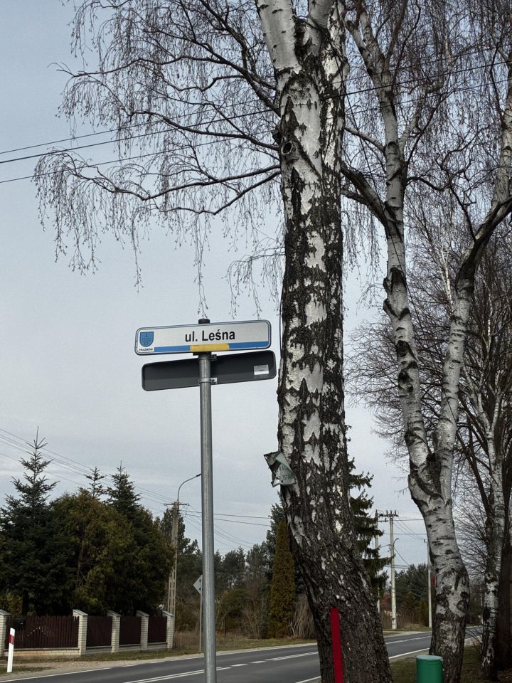 Działka leśna Nowy Prażmów, ul. Leśna. Zdjęcie 2