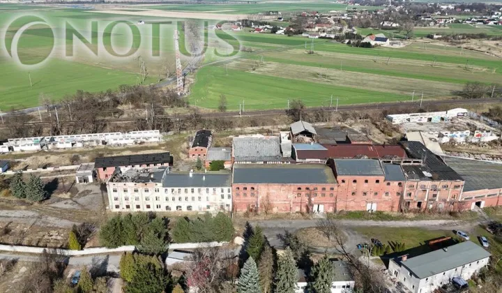 Hala/magazyn Chojnów, ul. Goleszańska