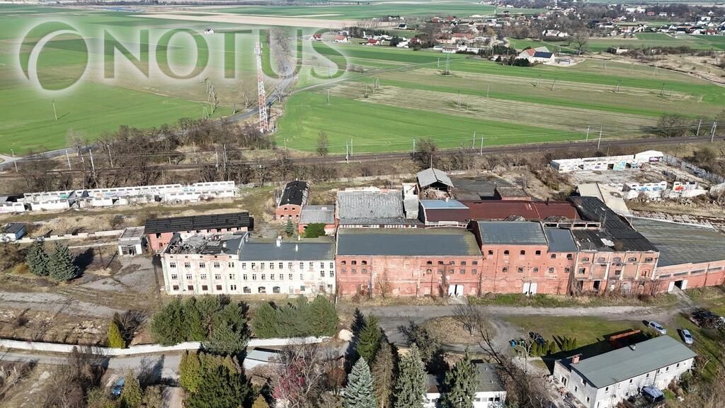 Hala/magazyn Chojnów, ul. Goleszańska. Zdjęcie 1
