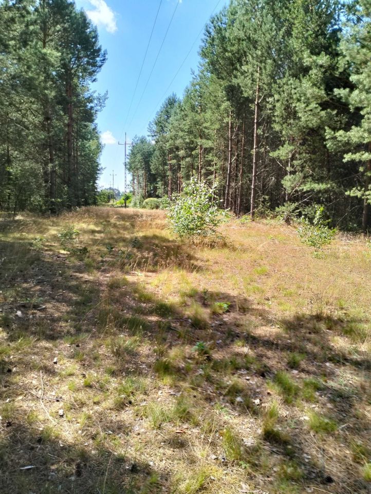 Działka budowlana Łośno. Zdjęcie 5