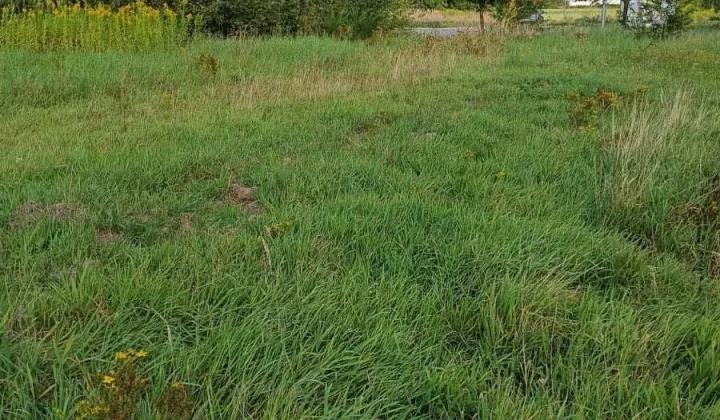 Działka budowlana Kobylnica, ul. Stefczyka