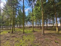 Działka budowlana Studnie. Zdjęcie 4