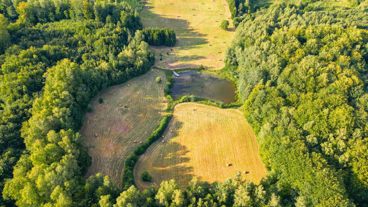 Działka budowlana Rogowo. Zdjęcie 8