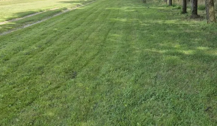 Działka budowlana Słowik, ul. Spacerowa