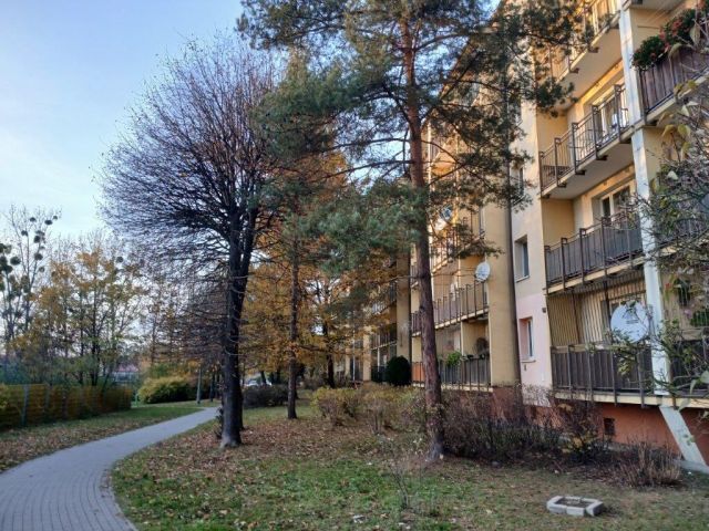 Mieszkanie 2-pokojowe Katowice Wełnowiec, ul. Tomasza Kotlarza. Zdjęcie 14