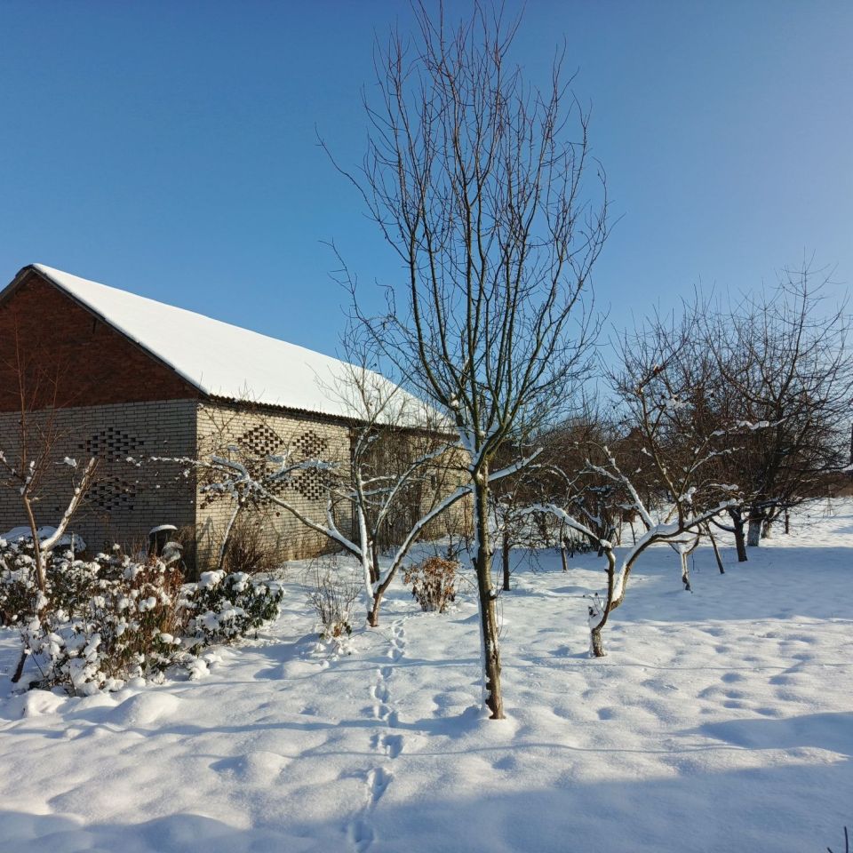 Działka Boryszewo. Zdjęcie 8