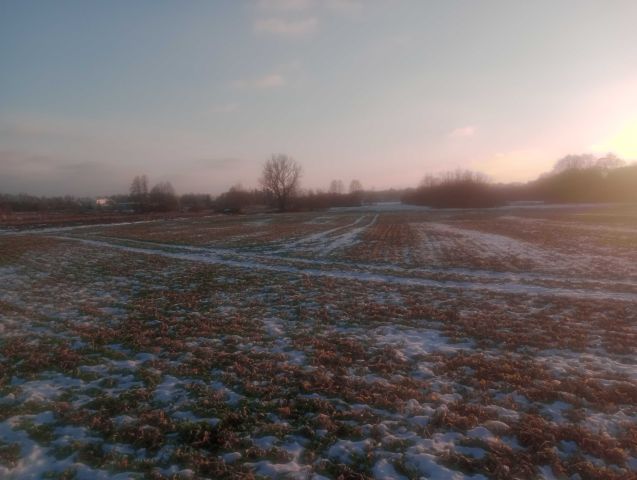 Działka rolna Strzała, ul. Zamiejska. Zdjęcie 1