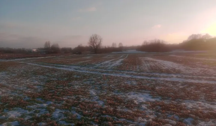 Działka rolna Strzała, ul. Zamiejska