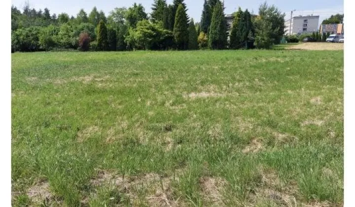 Działka budowlana Ornontowice