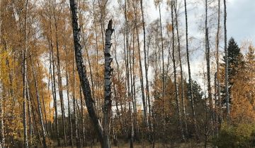 Działka budowlana Łódź Polesie, ul. Denna