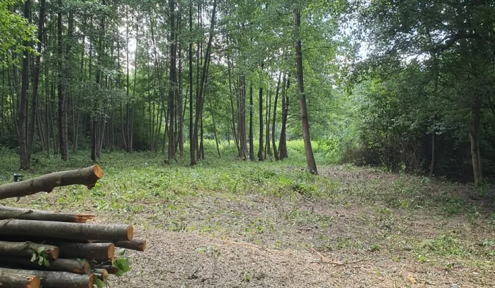 Ośrodek wczasowy Ogonki