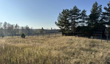 Działka rekreacyjna Wylatkowo, Wylatkowo