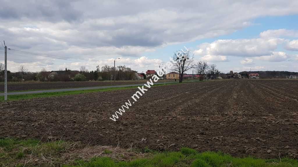 Działka budowlana Leszno. Zdjęcie 4