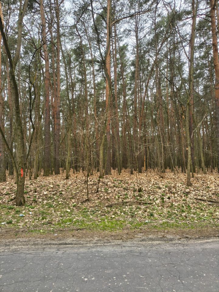 Działka budowlana Ziewanice. Zdjęcie 4