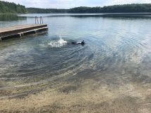 Działka budowlana Pławno. Zdjęcie 3