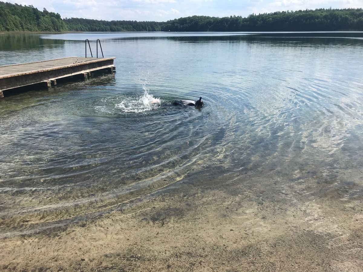 Działka budowlana Pławno. Zdjęcie 4