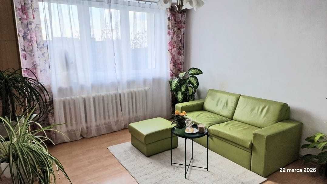 Mieszkanie 3-pokojowe Zielona Góra, ul. Ptasia. Zdjęcie 1