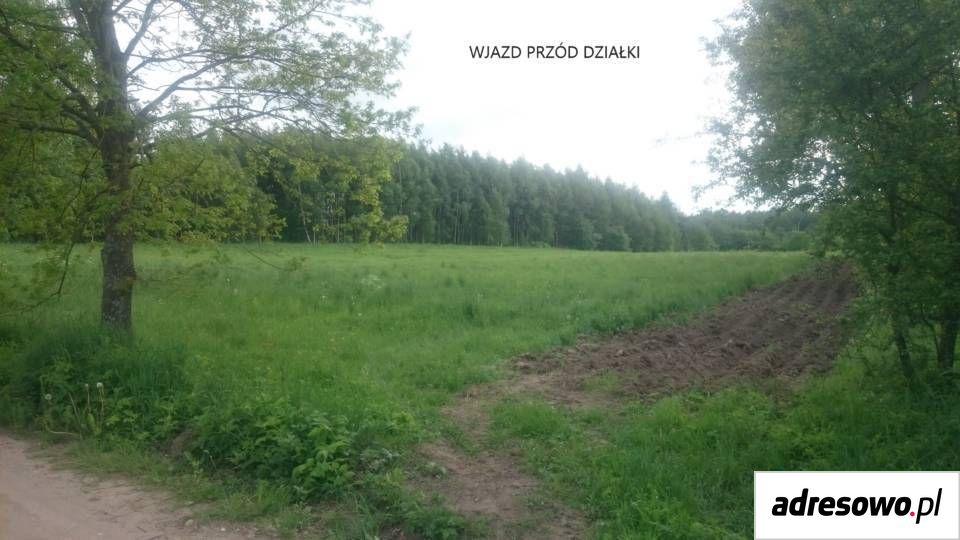 Działka rolna Krekole. Zdjęcie 6