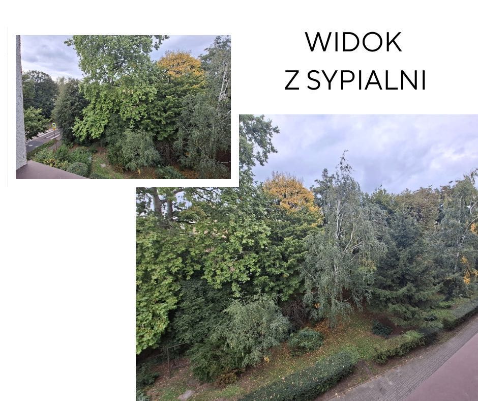 Mieszkanie 3-pokojowe Kutno Centrum, ul. Staszica. Zdjęcie 7