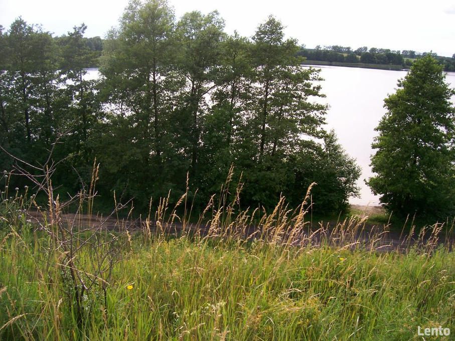 Działka rolna Chłopowo. Zdjęcie 2