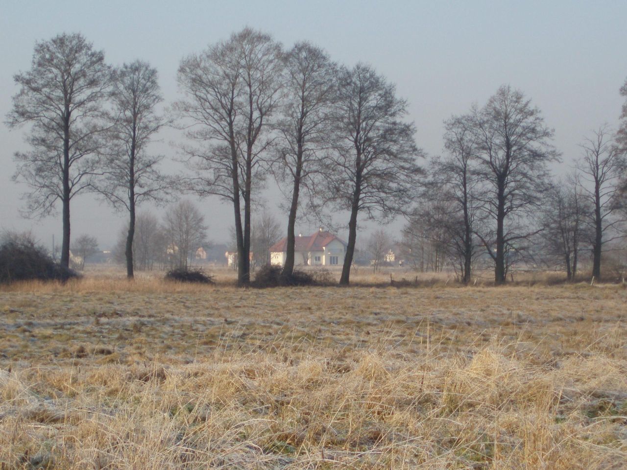 Działka budowlana Izabelin, ul. Wrzosowa