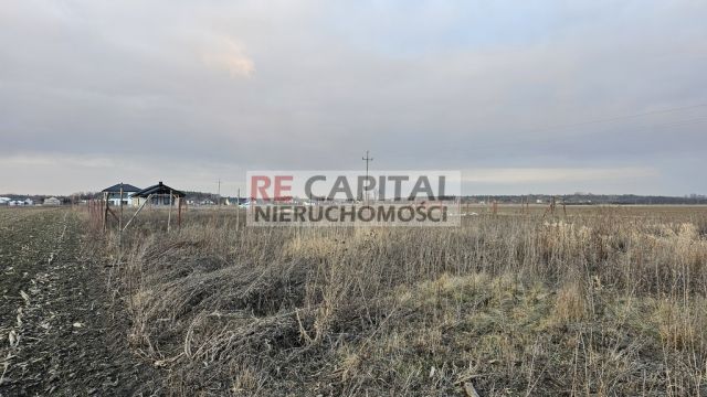 Działka budowlana Zaborówek. Zdjęcie 5