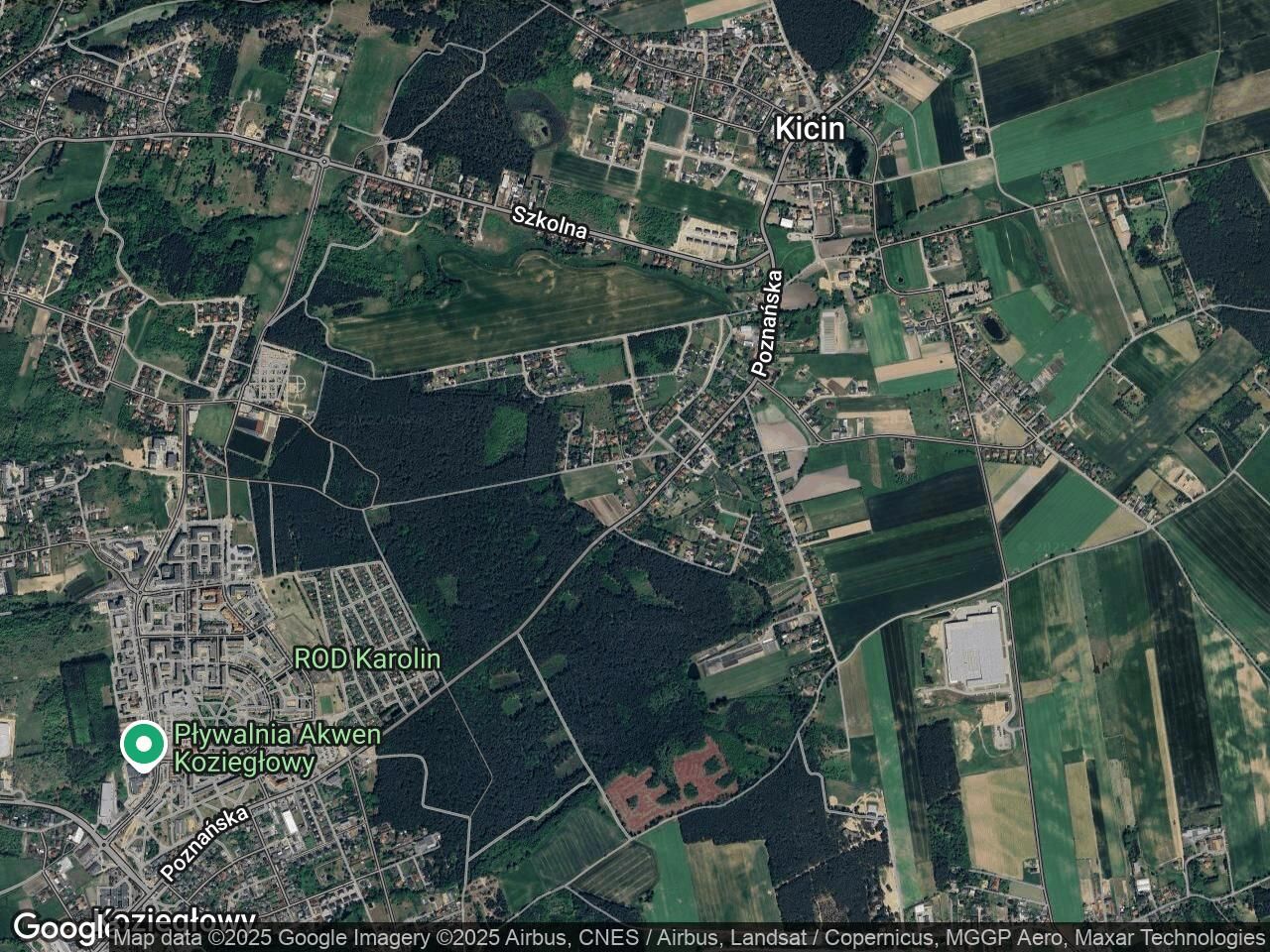 Działka budowlana Kicin, ul. Daglezjowa